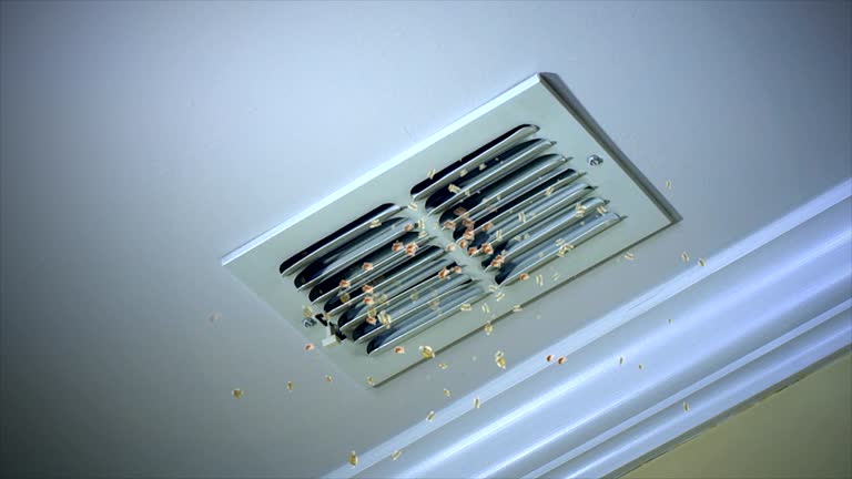 Best Home Air Vent Cleaning  in Kansas City, MO